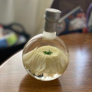 Home Decor Daisy Water Globe